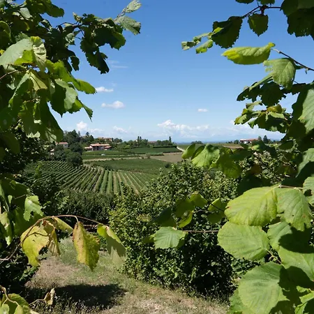 Vila Casa Di Mia Zia Bed & Wine - Uve