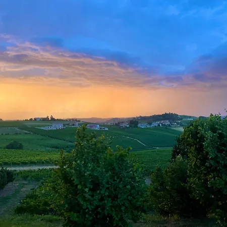 Casa Di Mia Zia Bed & Wine - Uve Costigliole d'Asti