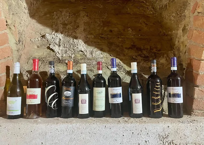 Casa Di Mia Zia Bed & Wine - Uve Vila Costigliole d'Asti