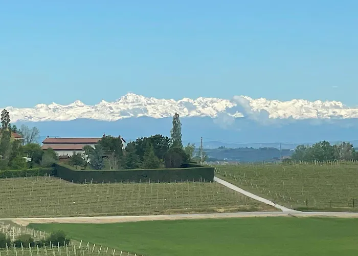 Casa Di Mia Zia Bed & Wine - Uve